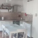 Fiumana Vikendica