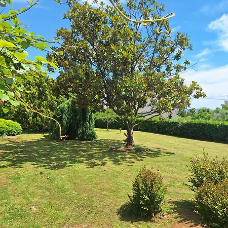 Fiumana Holiday home